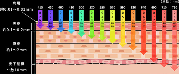 GRAND IPL Premium Machine KIWAMI 肌を識別(300万通り)し理想的な光美容を実現脱毛はからリップケアまで革新的かつ適切な美容効果を提供します。