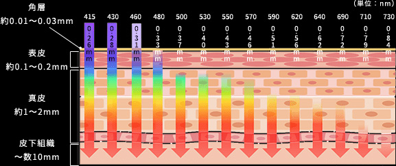 GRAND IPL Premium Machine KIWAMI 肌を識別(300万通り)し理想的な光美容を実現脱毛はからリップケアまで革新的かつ適切な美容効果を提供します。